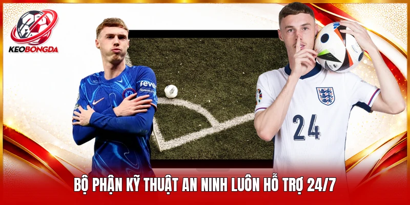 Bộ phận kỹ thuật an ninh luôn hỗ trợ 24/7