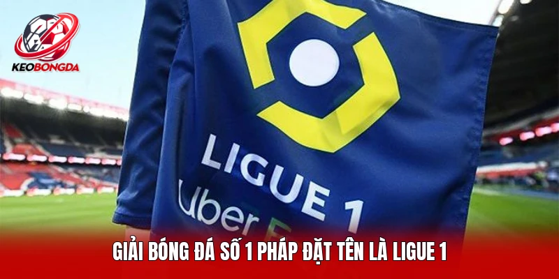 Giải bóng đá số 1 Pháp đặt tên là Ligue 1