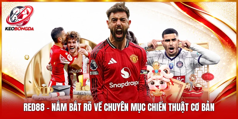 Red88 - Nắm bắt rõ về chuyên mục chiến thuật cơ bản 