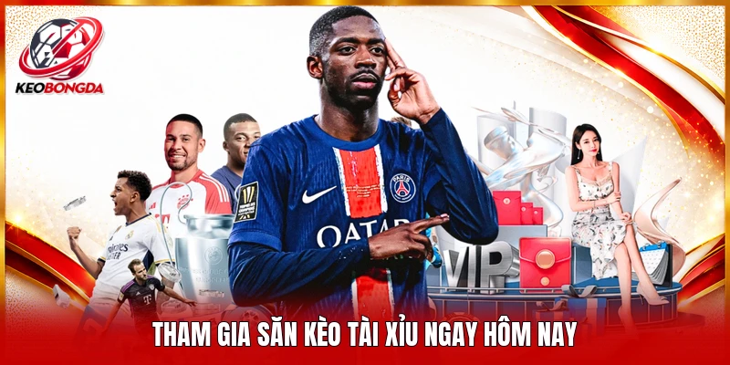 Tham gia săn kèo tài xỉu ngay hôm nay