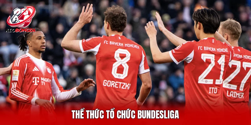 Thể thức tổ chức Bundesliga